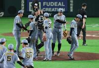 ２８日の今季初勝利を喜ぶ阪神ナイン（撮影・金田祐二）