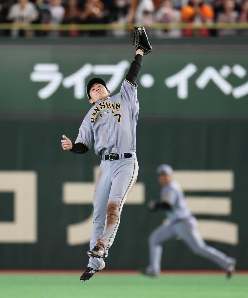 　１回、松本の打球を好捕する中野（撮影・田中太一）