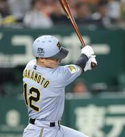 ８回、中前に同点打を放つ坂本（撮影・西岡正）