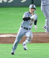 ９回阪神２死二、三塁、２点三塁打を放つ阪神・坂本誠志郎＝東京ドーム（撮影・金田祐二）