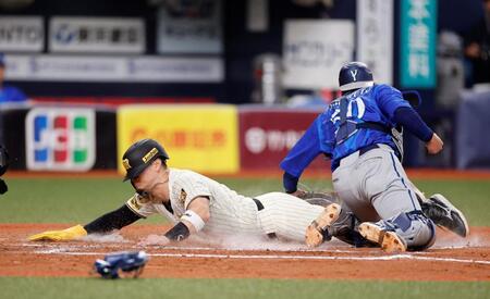 ６回、高寺の犠飛で頭から生還する佐藤輝（左）＝撮影・西田忠信