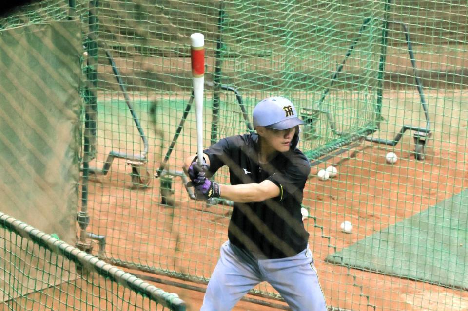 打撃練習する阪神・西純矢＝ナゴヤ球場屋内練習場