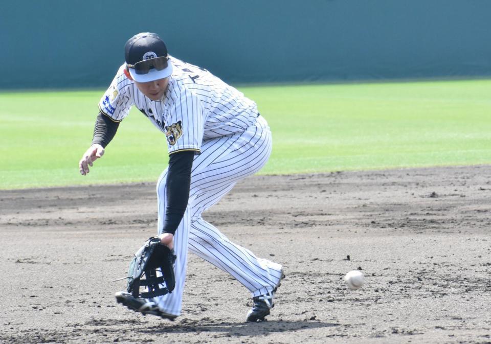 逆シングルで打球を捕球する立石