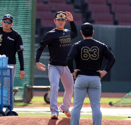 １軍に合流し、マウンドを確認する富田（撮影・山口登）