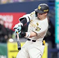 　１回、適時打を放つ佐藤輝（撮影・田中太一）