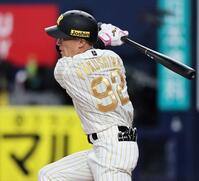 　７回、代打で１軍初打席に立った福島（撮影・田中太一）