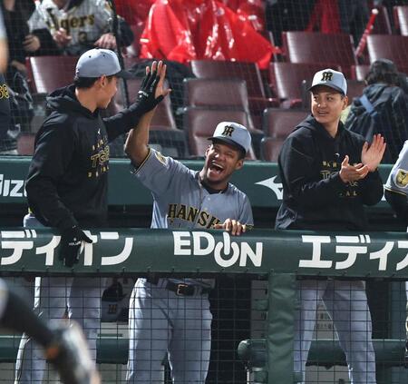 １０回、木浪が勝ち越しとなる２ランを放ち、ベンチでタッチを交わすモレッタ（中央）＝撮影・北村雅宏