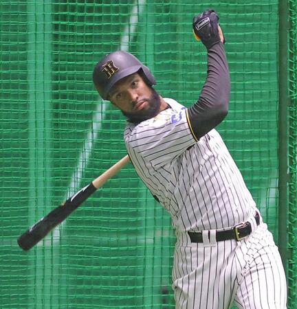 フリー打撃で快音を響かせる阪神・スタンリー・コンスエグラ＝日鉄鋼板ＳＧＬスタジアム尼崎（撮影・立川洋一郎）