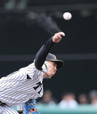 力投する先発の今朝丸（撮影・西田忠信）