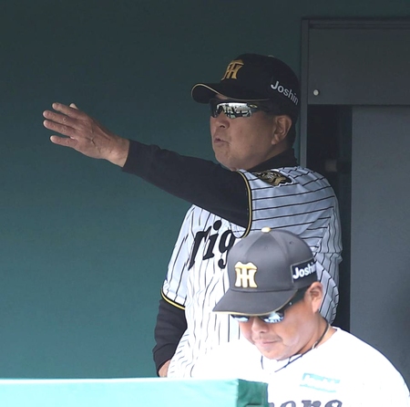 ５回、ベンチからグラウンドを見る平田２軍監督（撮影・西田忠信）