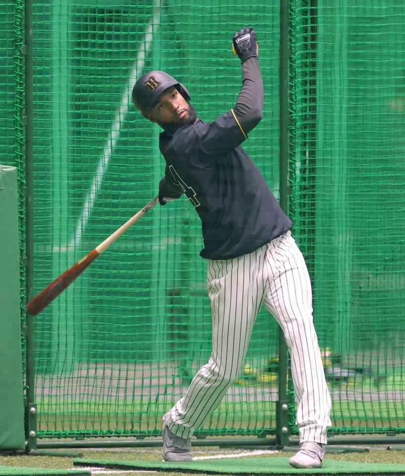 フリー打撃で快音を響かせるコンスエグラ（撮影・立川洋一郎）