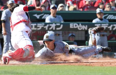 　６回、近本の一ゴロで本塁生還を狙う（撮影・北村雅宏）