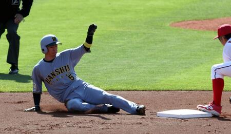 ６回、盗塁を決める近本（撮影・山口登）