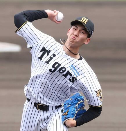 　力投する今朝丸（撮影・西田忠信）