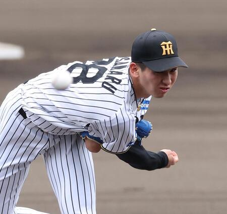 力投する先発の今朝丸（撮影・西田忠信）