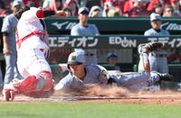 　６回、近本の一ゴロで本塁生還を狙う（撮影・北村雅宏）