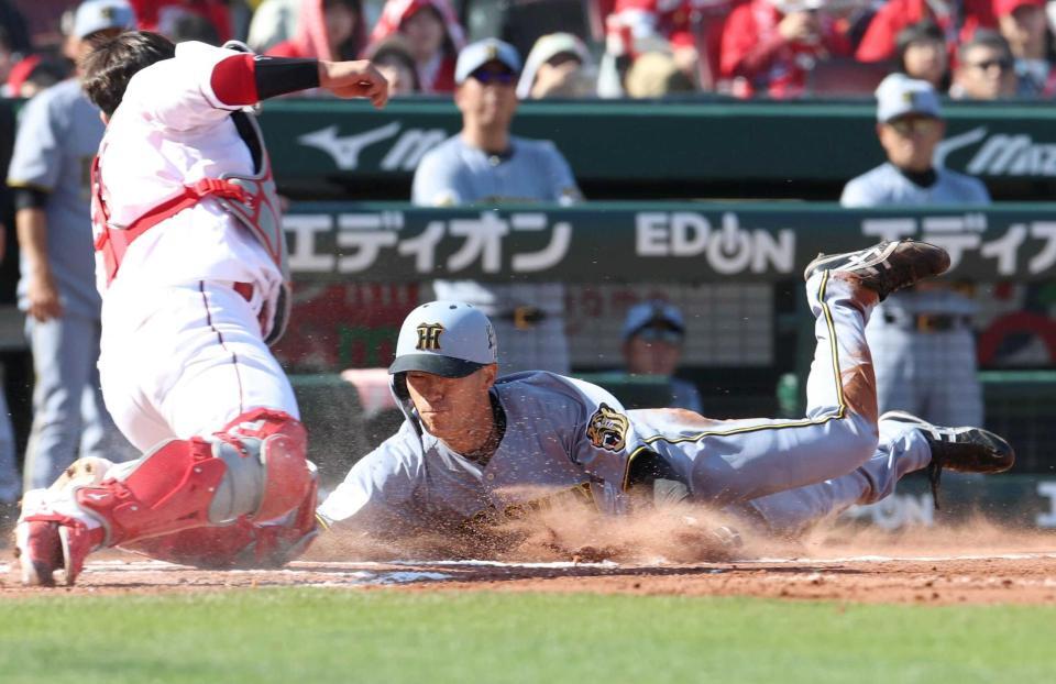 　６回、近本の一ゴロで本塁生還を狙う（撮影・北村雅宏）