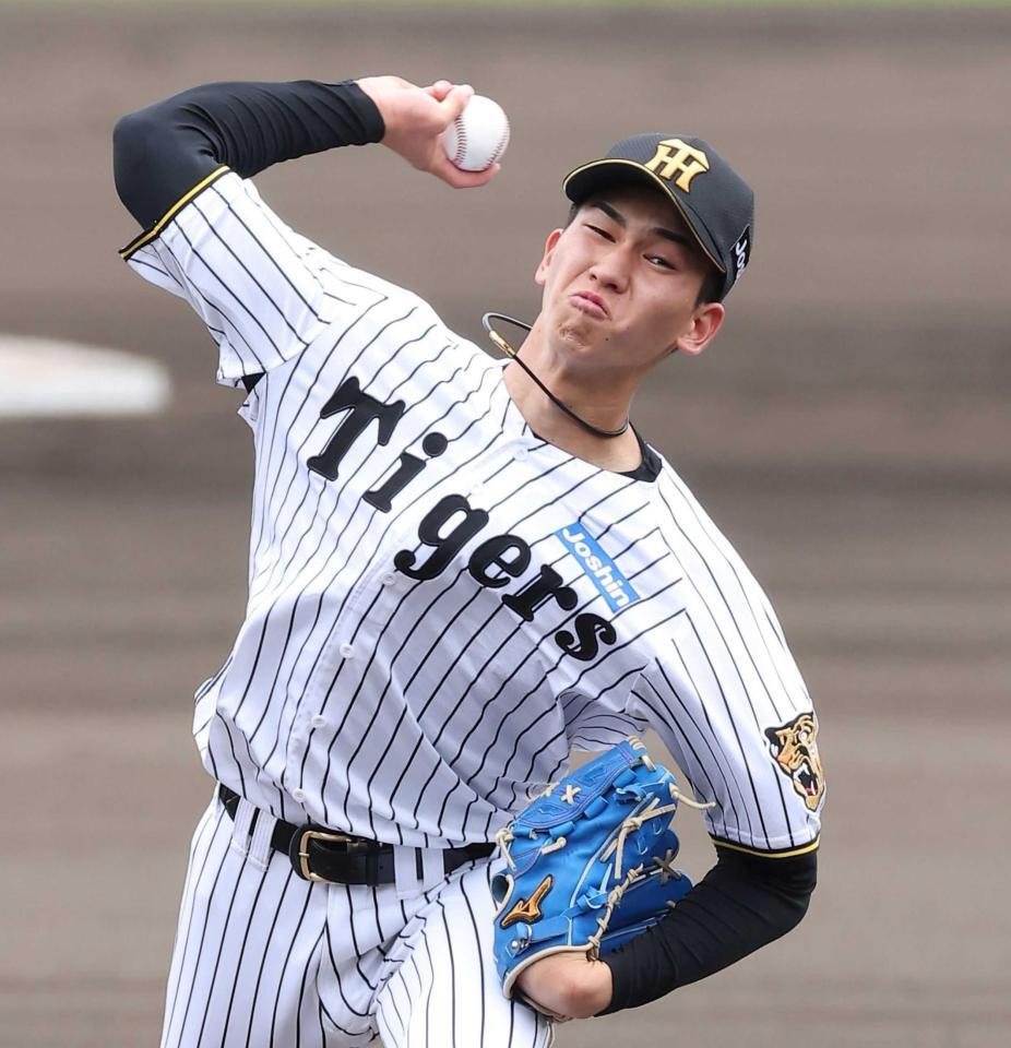 　力投する今朝丸（撮影・西田忠信）