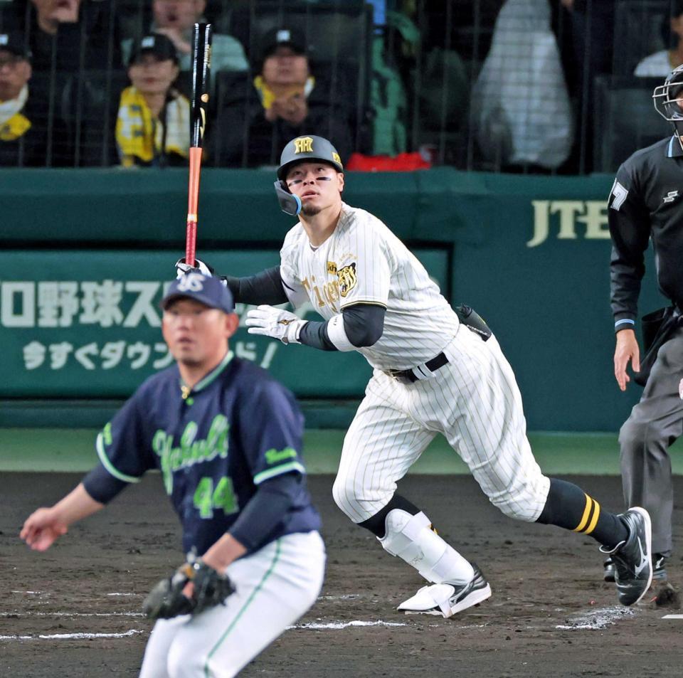 　８回、２ランを放つ佐藤輝（撮影・立川洋一郎）