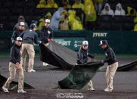 ７回阪神攻撃中、雨が強まり中断し、マウンドとホームベース付近にシートが敷かれる（撮影・山口登）