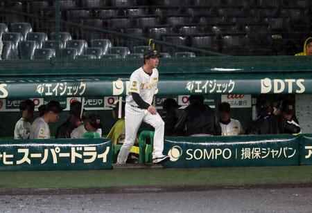 ７回途中、降雨コールドゲームで勝利しベンチを出てファンにあいさつに向かい藤川監督（撮影・山口登）