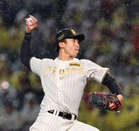 　６回、雨が降る中、力投する茨木（撮影・田中太一）