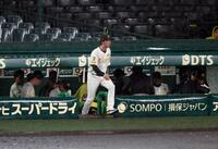 ７回途中、降雨コールドゲームで勝利しベンチを出てファンにあいさつに向かい藤川監督（撮影・山口登）