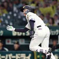 　４回、先制の４号ソロを放つ森下（撮影・田中太一）