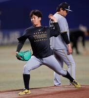 マウンドを確認する阪神・伊原陵人＝バンテリンドーム（撮影・西田忠信）