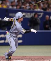 ２回阪神２死、左前打を放つ阪神・伏見寅威＝バンテリンドーム（撮影・西田忠信）