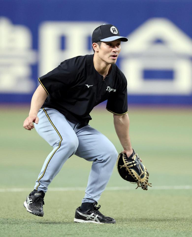 守備練習する坂本（撮影・山口登）