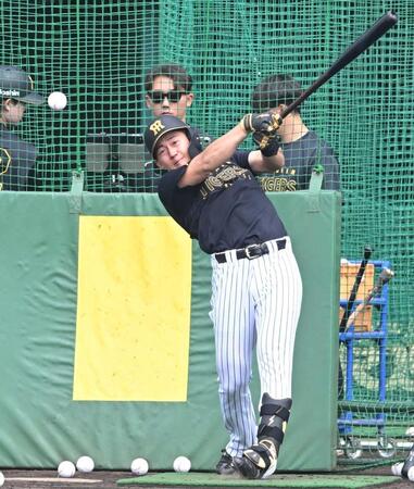 フリー打撃で快音を響かせる立石（撮影・高部洋祐）