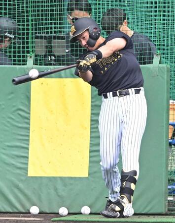 フリー打撃で快音を響かせる立石（撮影・高部洋祐）