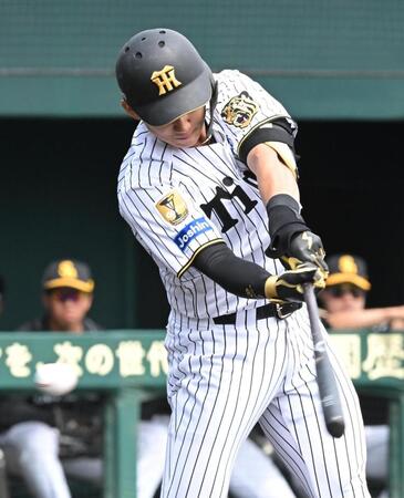 ２回、空振り三振に倒れる立石（撮影・高部洋祐）