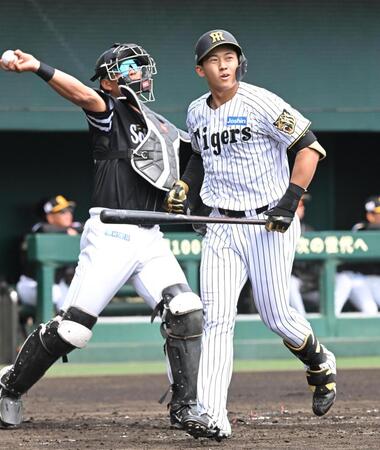 ２回、三振に倒れた立石（撮影・高部洋祐）