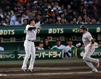 ２回、木浪の送球を捕球しようとする大山（走者・ダルベック）＝撮影・山口登
