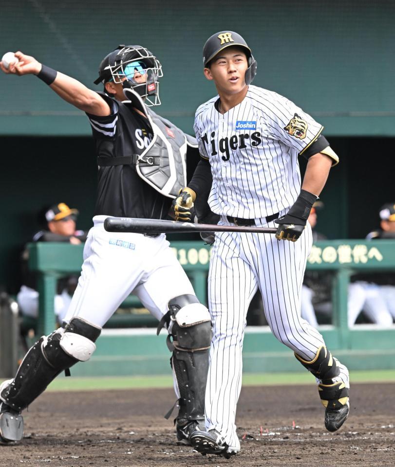 ２回、三振に倒れた立石（撮影・高部洋祐）