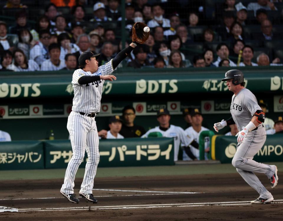 ２回、木浪の送球を捕球しようとする大山（走者・ダルベック）＝撮影・山口登