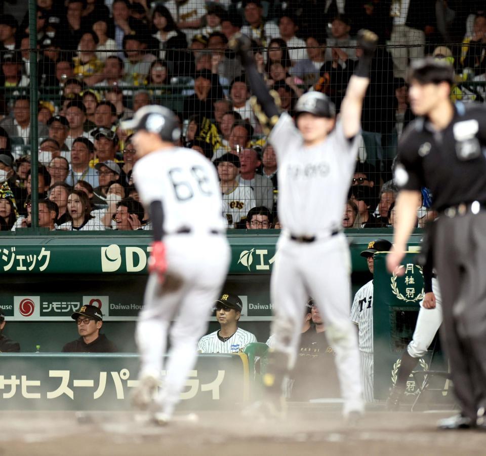 ９回、松本の勝ち越し打を見つめる藤川監督（撮影・田中太一）