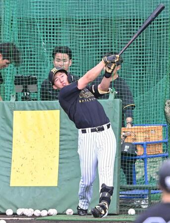 フリー打撃で快音を響かせる立石（撮影・高部洋祐）