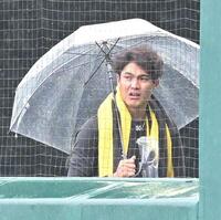 傘をさす西純（撮影・高部洋祐）