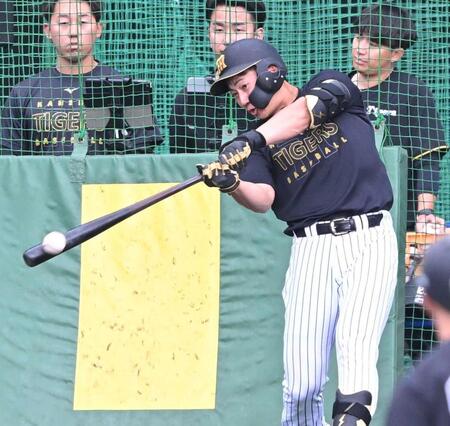 フリー打撃で快音を響かせる立石（撮影・高部洋祐）