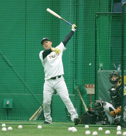 室内で打撃練習をする森下（撮影・西田忠信）