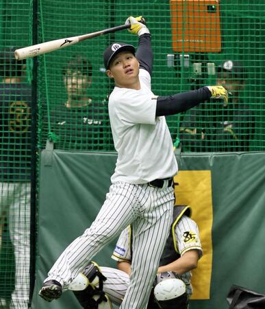 打撃練習をする森下（撮影・田中太一）