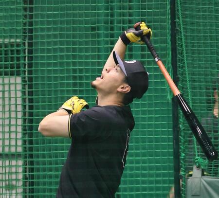 　打撃練習する佐藤輝（撮影・田中太一）