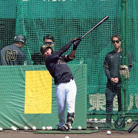 フリー打撃で打ち込む立石（撮影・立川洋一郎）