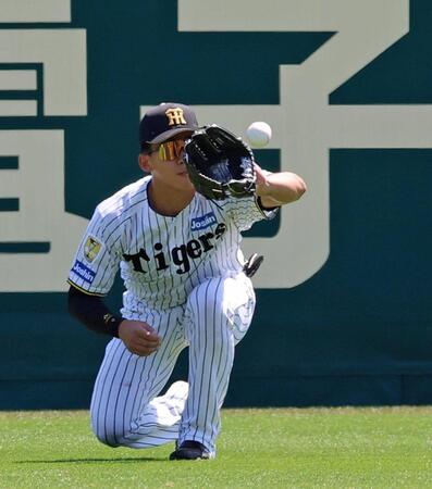 １回、打球を処理する立石（撮影・立川洋一郎）