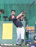 フリー打撃で快音を響かせる立石（撮影・高部洋祐）