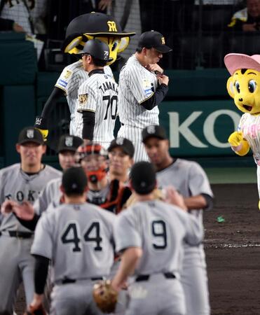 巨人に連敗し、ベンチを出てファンにあいさつに向かう藤川監督（中央）＝撮影・山口登