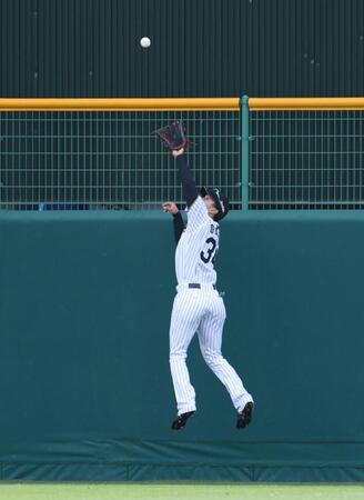 ２回、堂林の打球を好捕する中堅手の岡城（撮影・中田匡峻）